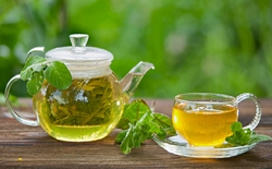چای سبز با حساسیت های غذایی مبارزه میکند