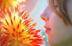 خطر انتقال کرونا از طریق بوییدن گل