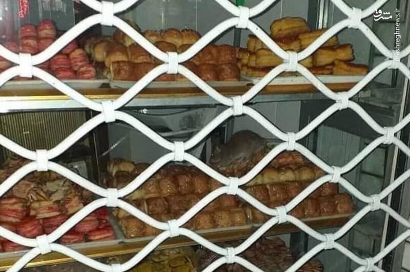 وقتی یک موش در مغازه شیرینی فروشی رژه می رود + عکس