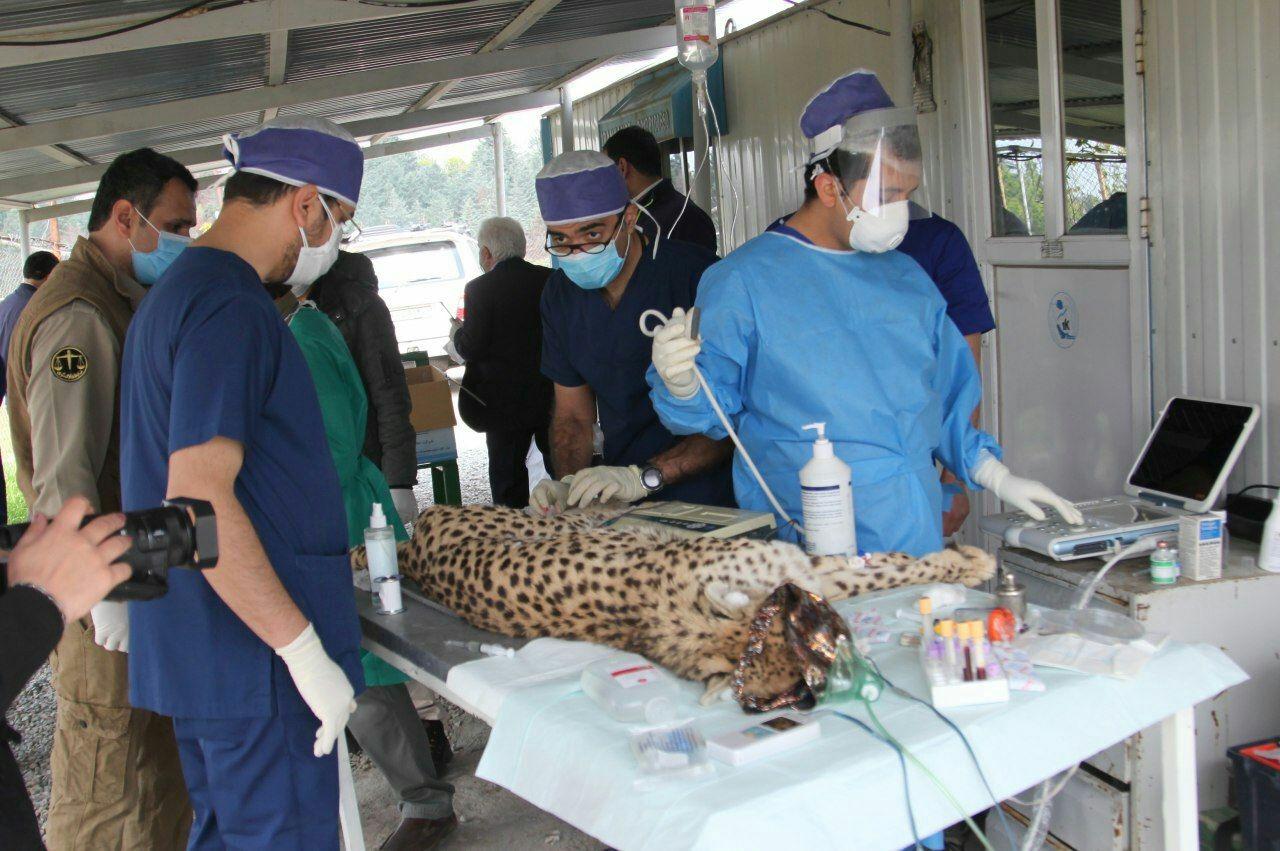 دلبر و کوشکی روی نیسان آبی + عکس