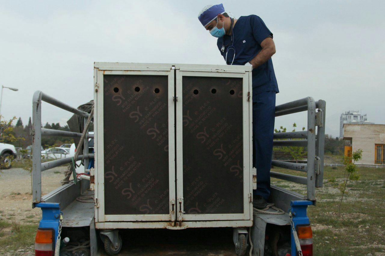 دلبر و کوشکی روی نیسان آبی + عکس