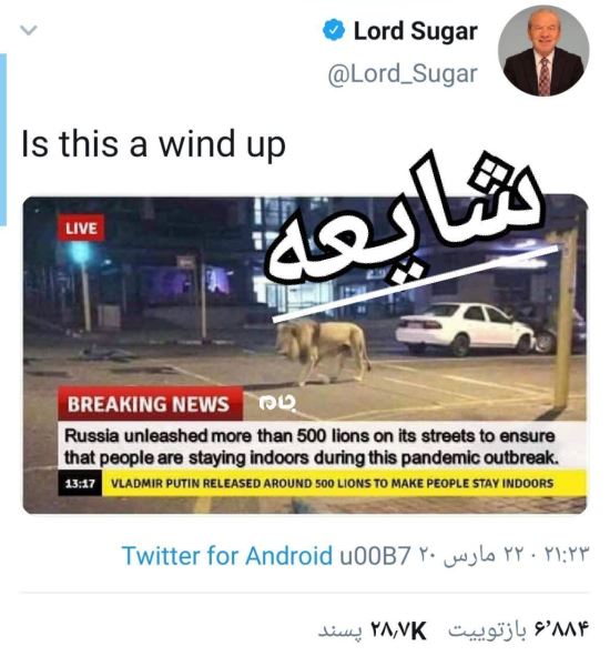 تصویر شیر در خیابان ارتباطی به کرونا دارد؟! + عکس