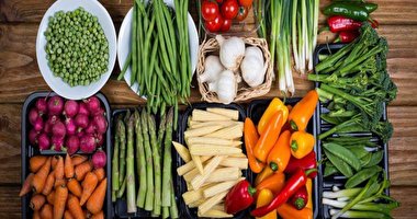 پروتئینی که چربی خون را از بین می برد