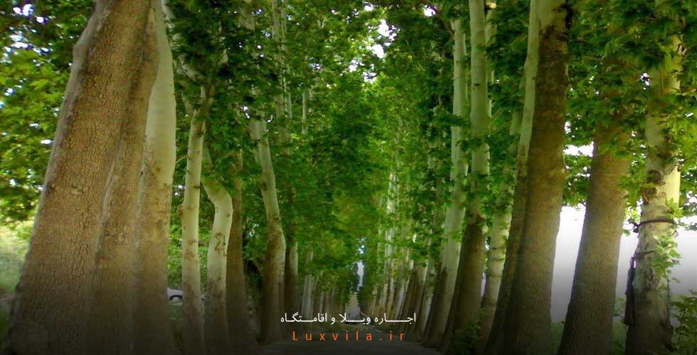 اجاره ویلا در شهریار از سایت لوکس ویلا