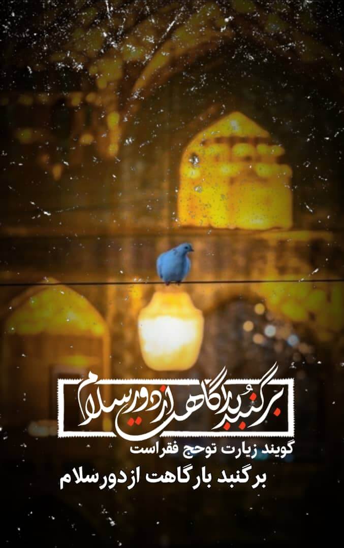 استوری امام رضایی