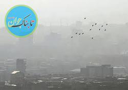 بازی با سلامت مردم و ادامه مخالفت با تعطیلی تهران در اوج روزهای آلودگی هوا
