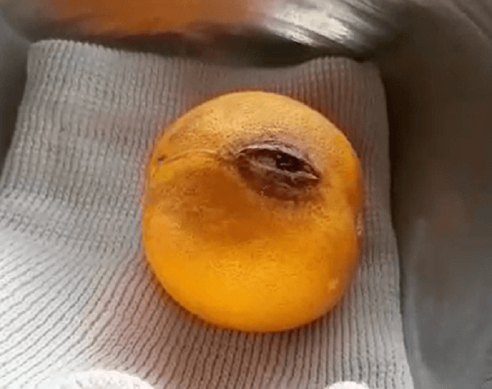 پرتقال چشم دار