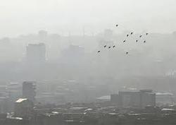 مرگ زودرس روزانه در تهران به دلیل آلودگی هوا