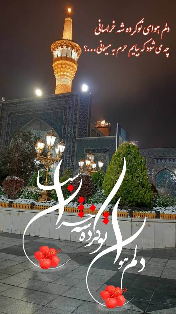 استوری امام رضایی