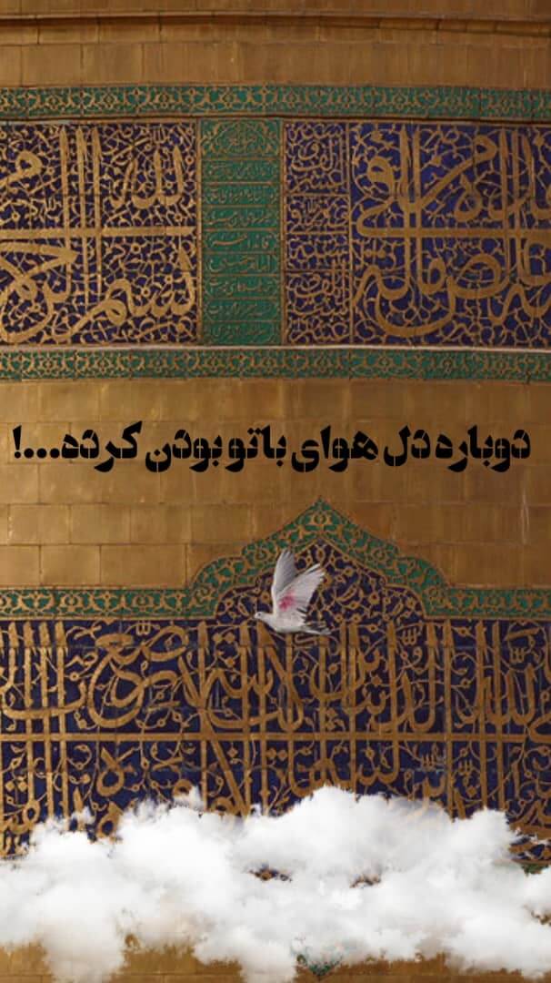 استوری حرم امام رضا (ع)