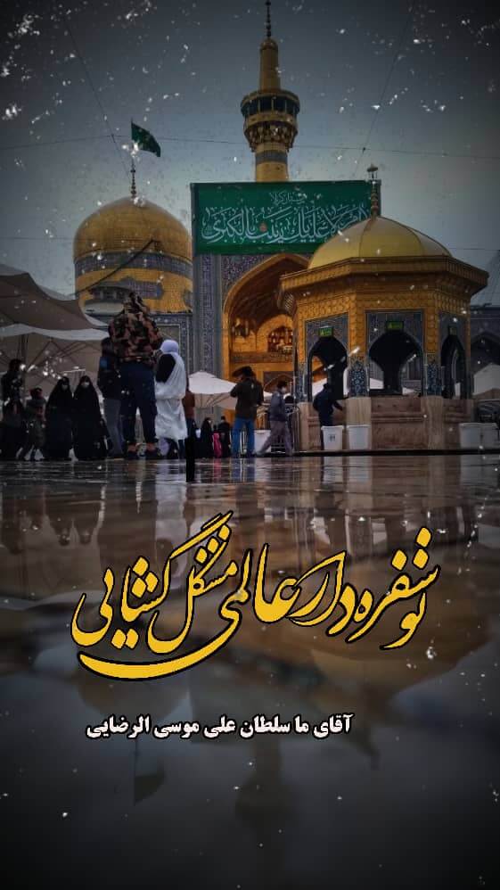 استوری حرم امام رضا (ع)