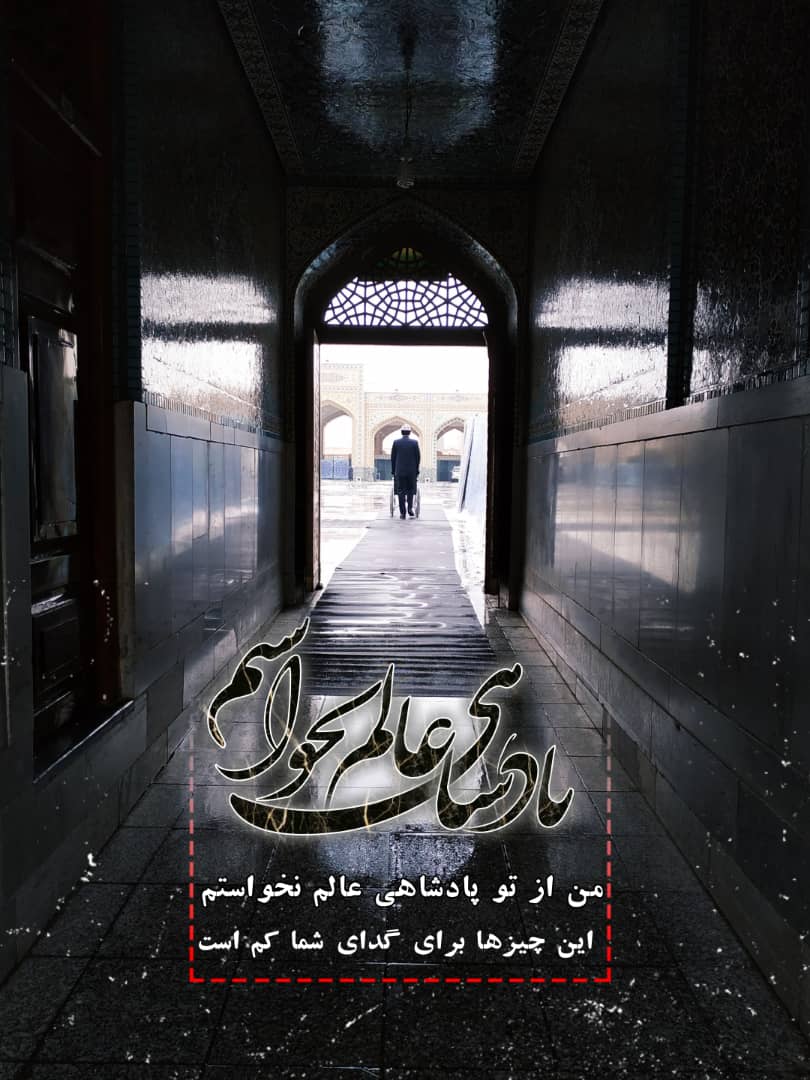 استوری حرم امام رضا (ع)