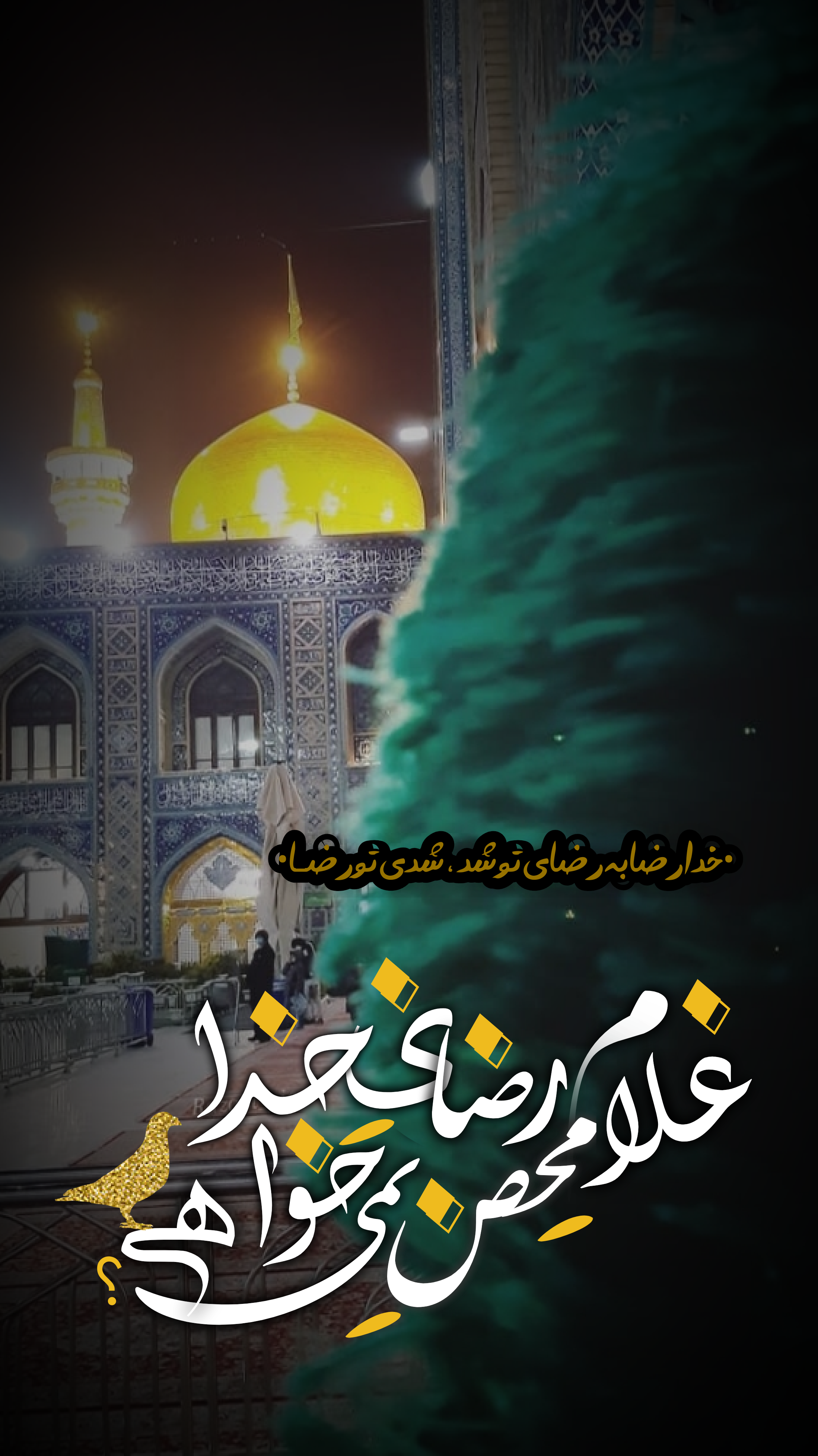 استوری حرم امام رضا (ع)