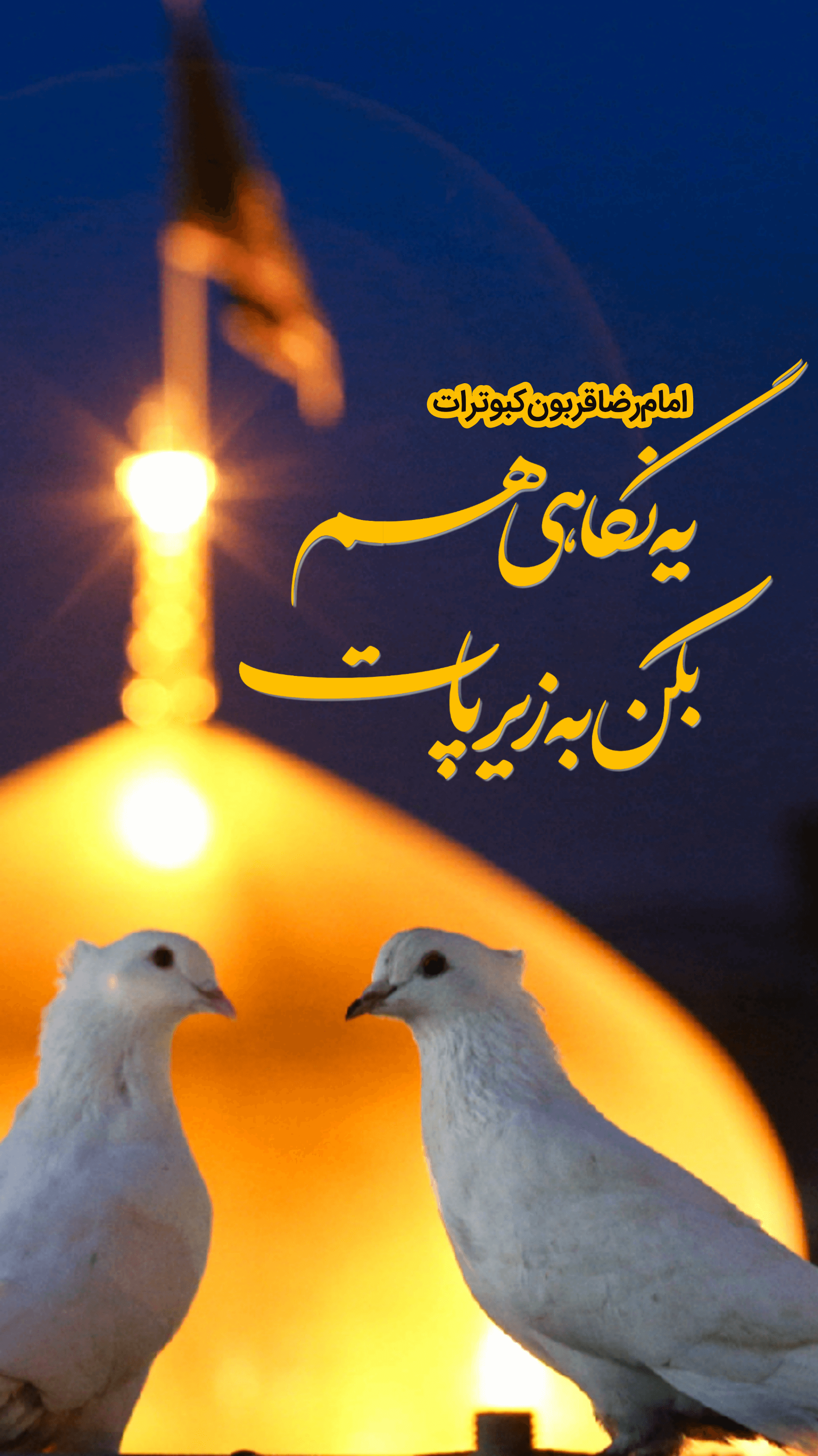 استوری حرم امام رضا (ع)