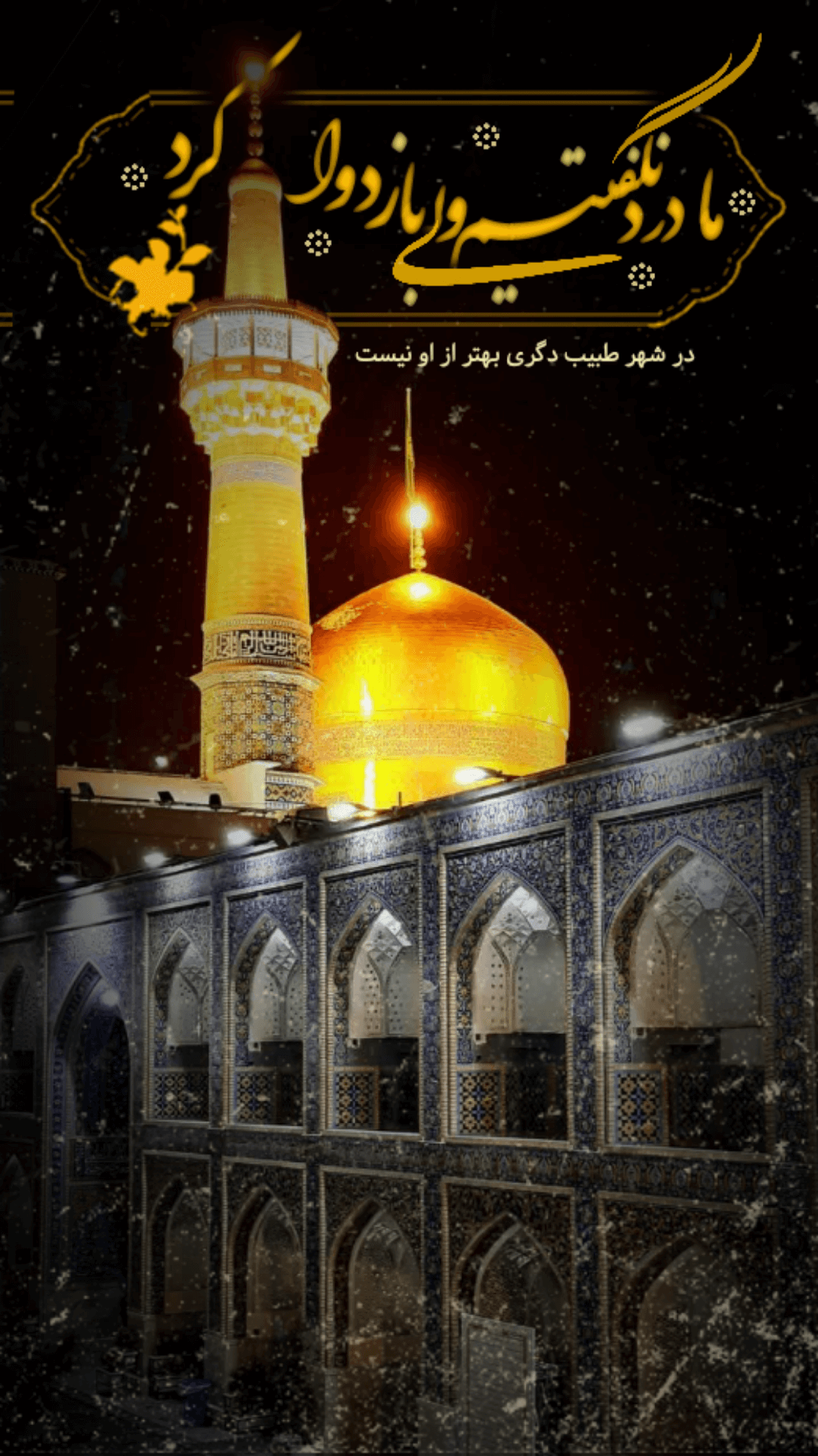 استوری حرم امام رضا (ع)