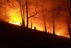 جنگل های گیلان در آتش می سوزد