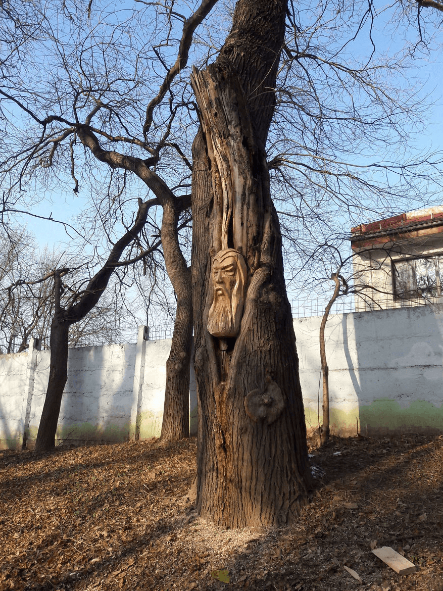 هنرنمایی مجسمه‌ساز خودآموز روی چوب + تصاویر