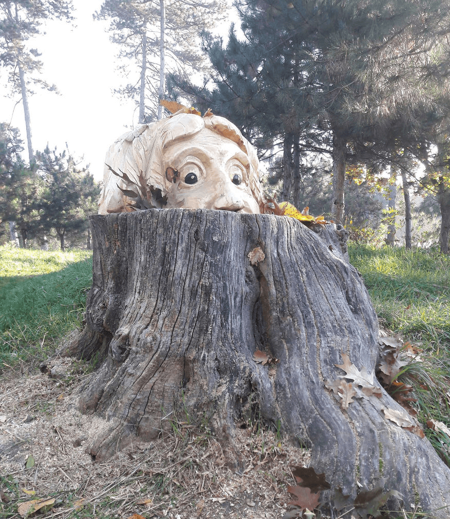 هنرنمایی مجسمه‌ساز خودآموز روی چوب + تصاویر