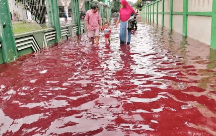 راز جاری شدن سیلی به رنگ خون در اندونزی