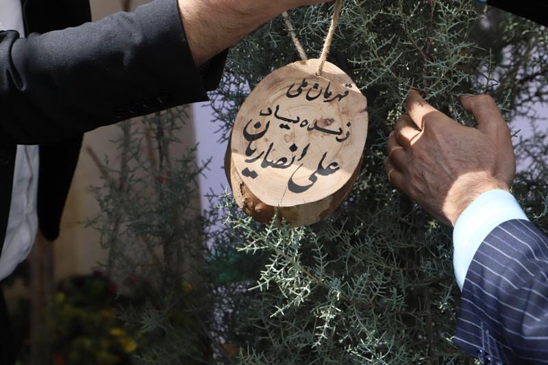 غرس نهال به یاد قهرمان ملی، «علی انصاریان»