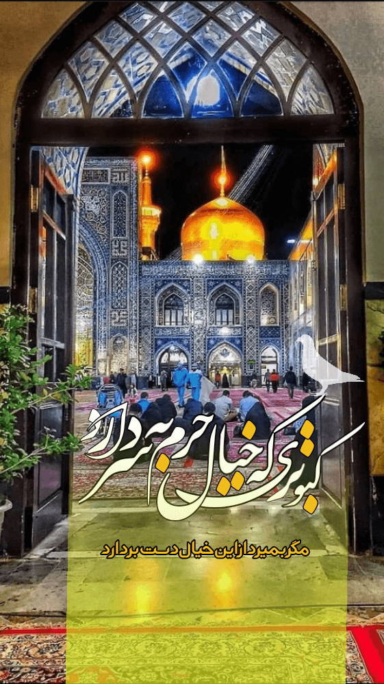 استوری امام رضایی