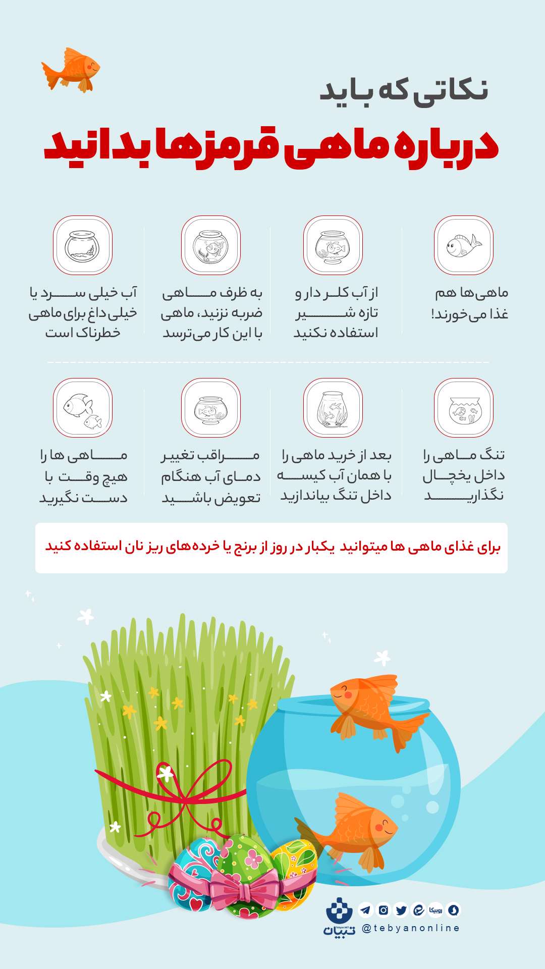 اینفوگرافیک