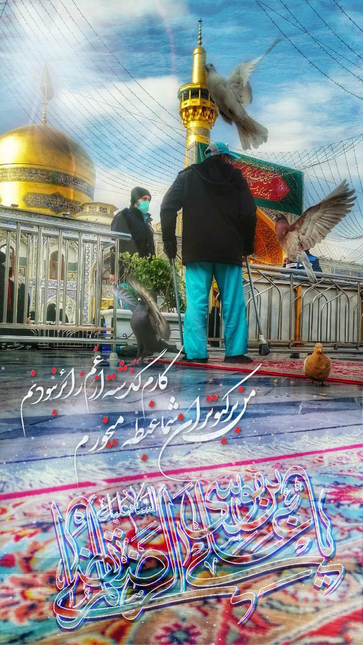 استوری امام رضا (ع)