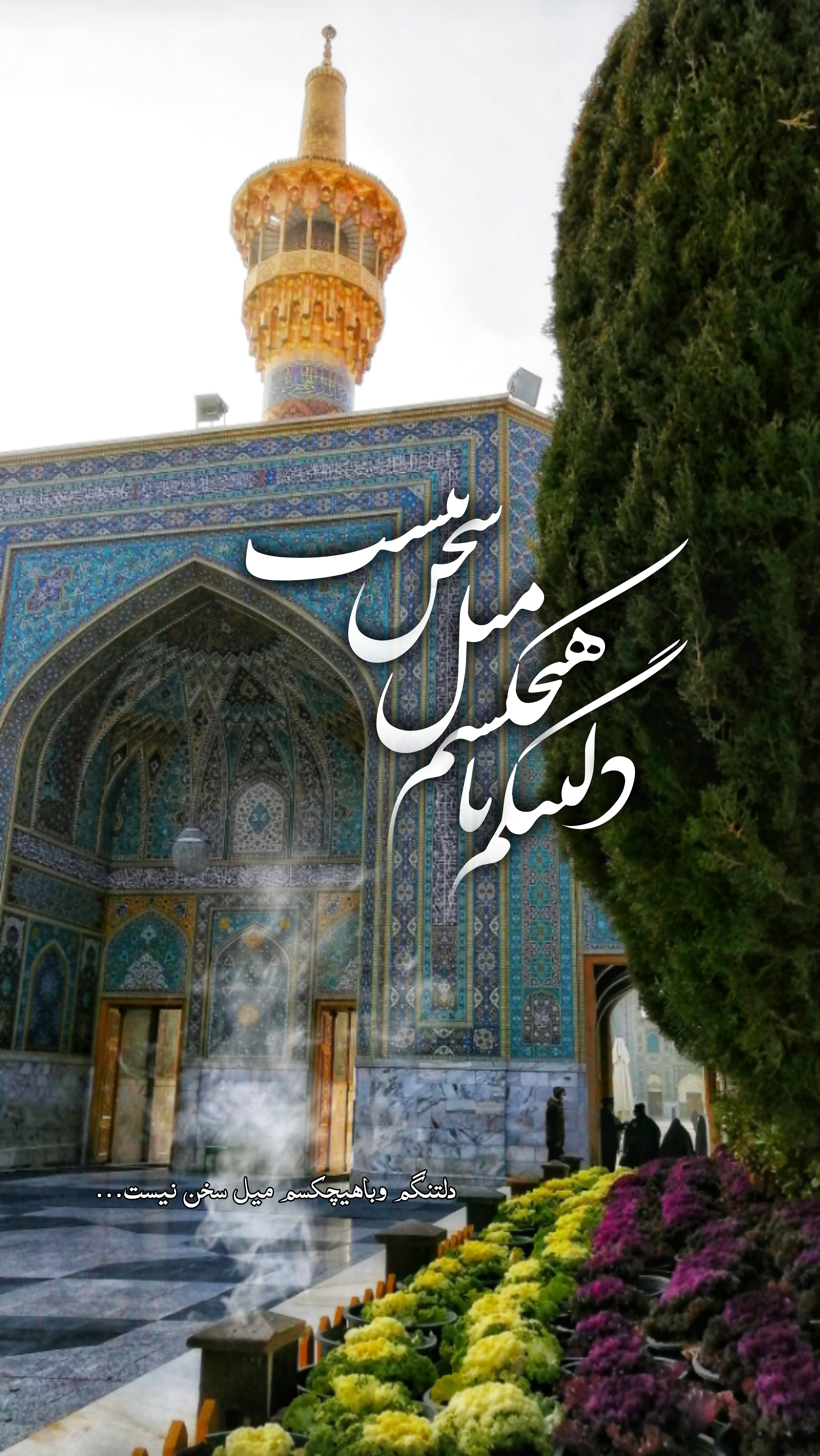 استوری امام رضایی