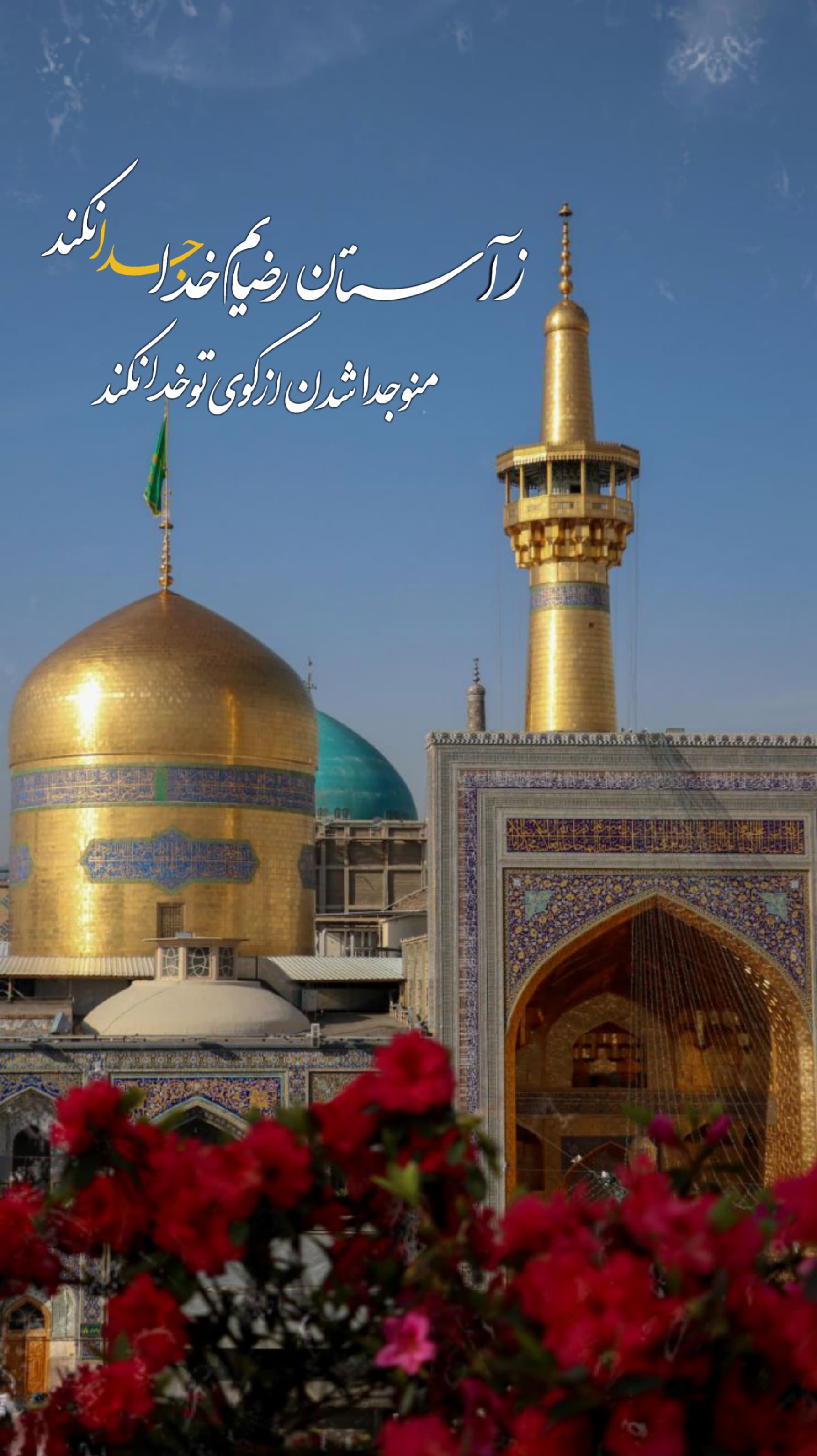 استوری امام رضایی