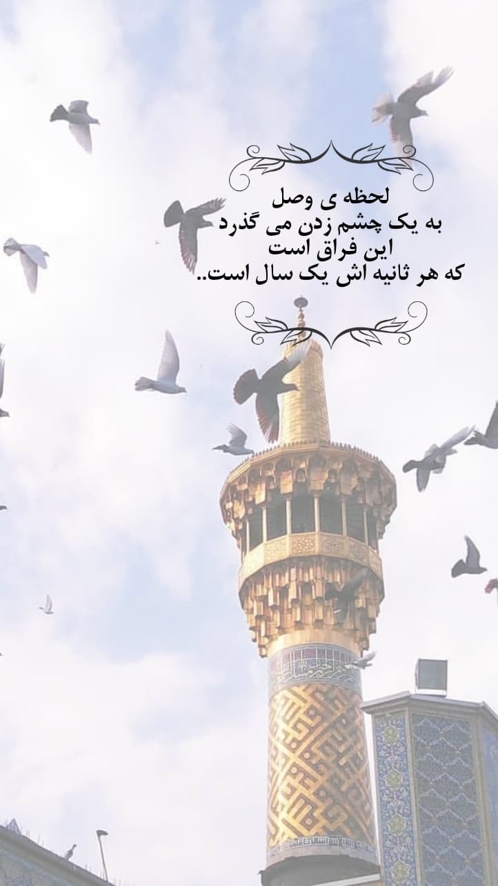 استوری امام رضایی