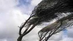 وزش باد شدید در برخی مناطق کشور