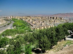 همکاری شهرداری تهران و سازمان جنگل‌ها برای درختکاری در نوار مرزی دامنه جنوبی البرز