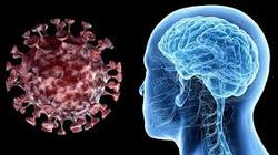 ویروس کرونا با مغز چه می کند؟