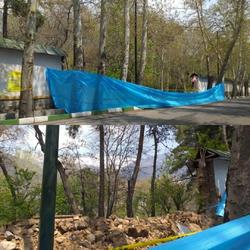 خشکه چینی نهر سعدآباد باعث خشک شدن درختان کهنسال می شود