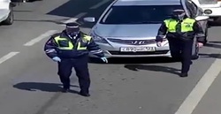 اقدام جالب پلیس روسیه برای عبور اردک‌ها از خیابان + فیلم