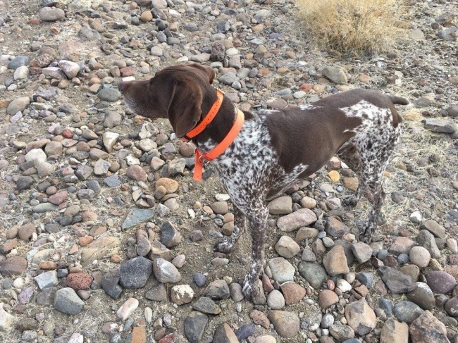 ۱۰ عکس که با ذهن شما بازی می‌کند