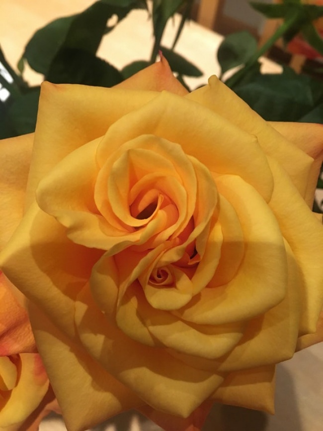 ۱۰ عکس که با ذهن شما بازی می‌کند