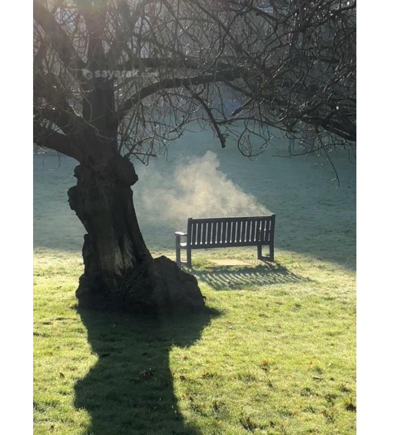 ۱۰ عکس که با ذهن شما بازی می‌کند