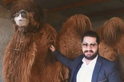 تبلیغ نوشیدن ادرار شتر