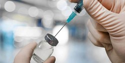 تلاش ژاپنی ها برای تولید واکسن کرونا با کمک حشرات