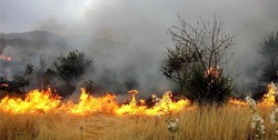 دلیل آتش سوزی در دامن خائیز مشخص شد
