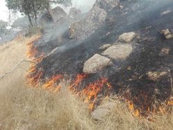 مهار آتش‌سوزی در جنگل‌های بلوط بلند سدکارون ۴