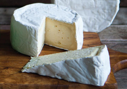 طرز تهیه پنیر خانگی با چند روش مختلف