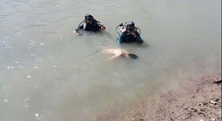 جوان 19 ساله در رودخانه انار بار محلات غرق شد