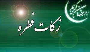 ورود ناگهانی با خودرو به حیاط یک خانه