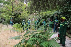 افزایش سرانه فضای سبز تهران با تملک چهارمین باغ در منطقه 7