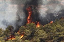 بررسی عمدی بودن آتش‌سوزی جنگل‌های زاگرس و دستگیری 40 متهم
