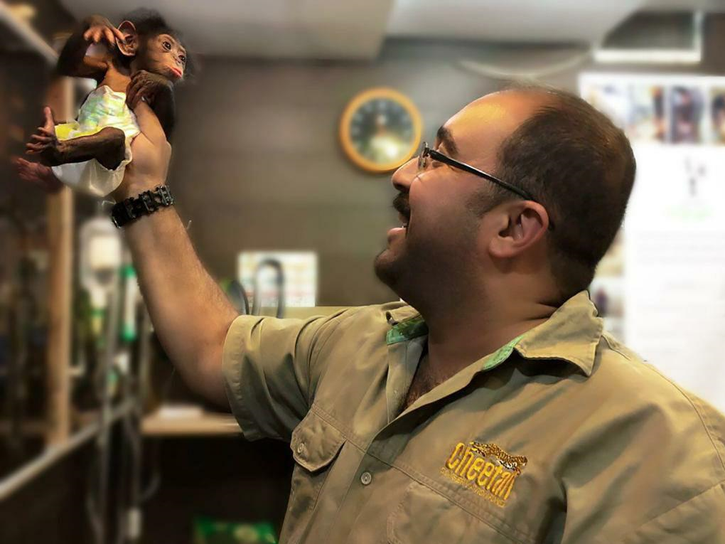 دامپزشکی که شامپانزه در قفس را تنها نگذاشت