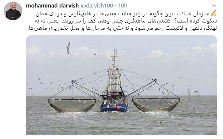 توییت محمد درویش درباره صید چینی ها در خلیج فارس و عمان