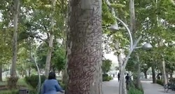 ماجرای طلسم روی درختان پارک لاله تهران چه بود؟